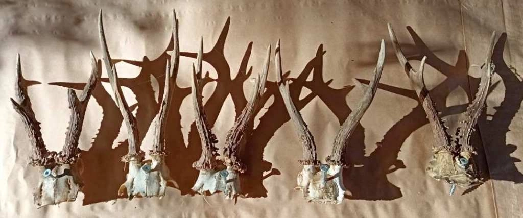 Uprava policije MUP TK-a - zbog krivolova izvršeno pretresanje na području Čelića